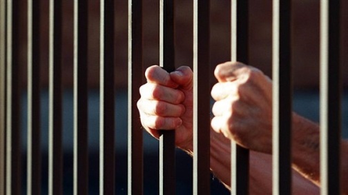 محکومیت متخلف کشتار دام بیمار به 1 سال حبس