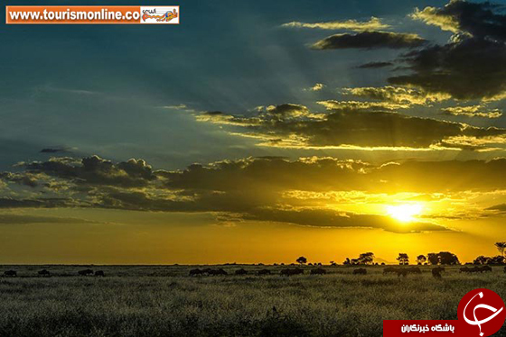 عکس/ تماشای زیبایی&zwnj;های آفریقا زیبایی های قاره سیاه با تکنیک سایه نما