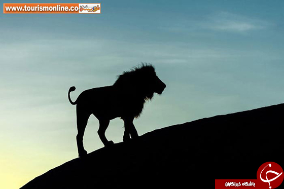 عکس/ تماشای زیبایی&zwnj;های آفریقا زیبایی های قاره سیاه با تکنیک سایه نما