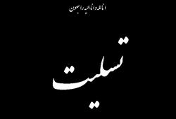 تسلیت وزیر ورزش و جوانان به عضو شورای شهر تهران