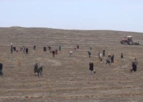 بیابان زدایی در 400 هکتار از مراتع گلستان