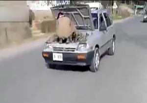 مکانیک سیار! + فیلم