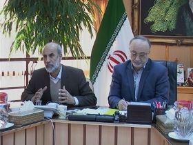 شیوع آنفولانزای فوق حاد پرندگان در 12 استان کشور