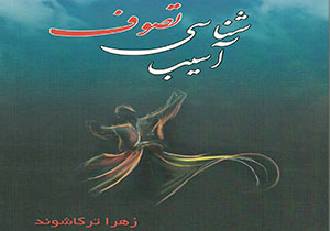 رونمایی از کتاب " آسیب شناسی تصوف" در بروجرد