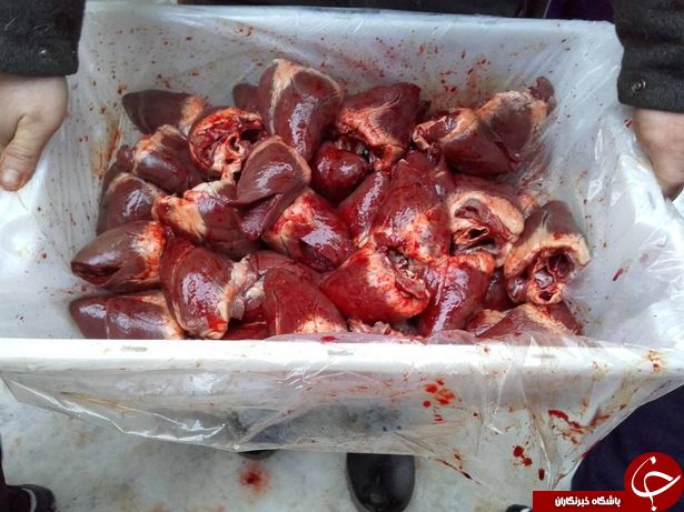 واکنش کودکان مهد کودک در مقابل این صحنه های وحشتناک چه خواهد بود + تصاویر