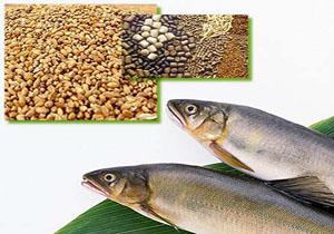 واردات خوراک آماده آبزيان از ویتنام