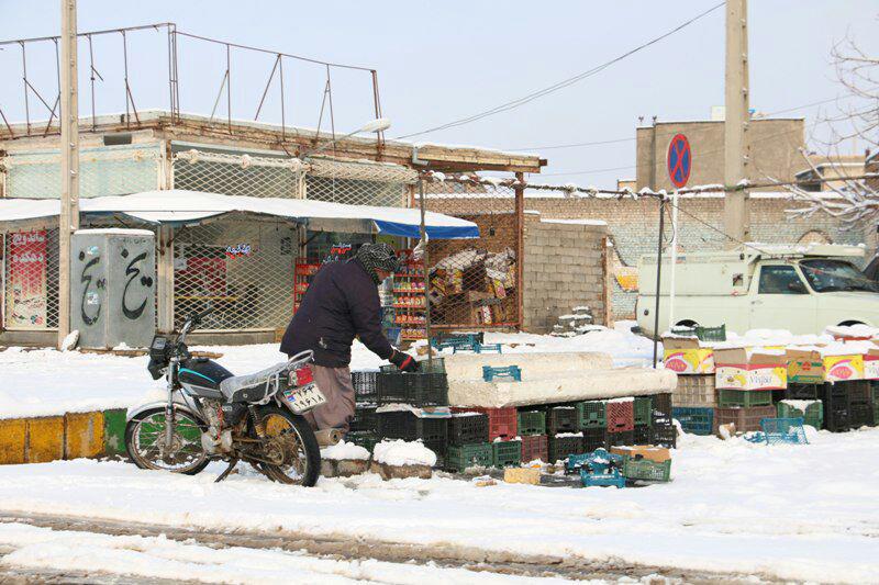 بارش نخستین برف زمستانی در تربت جام