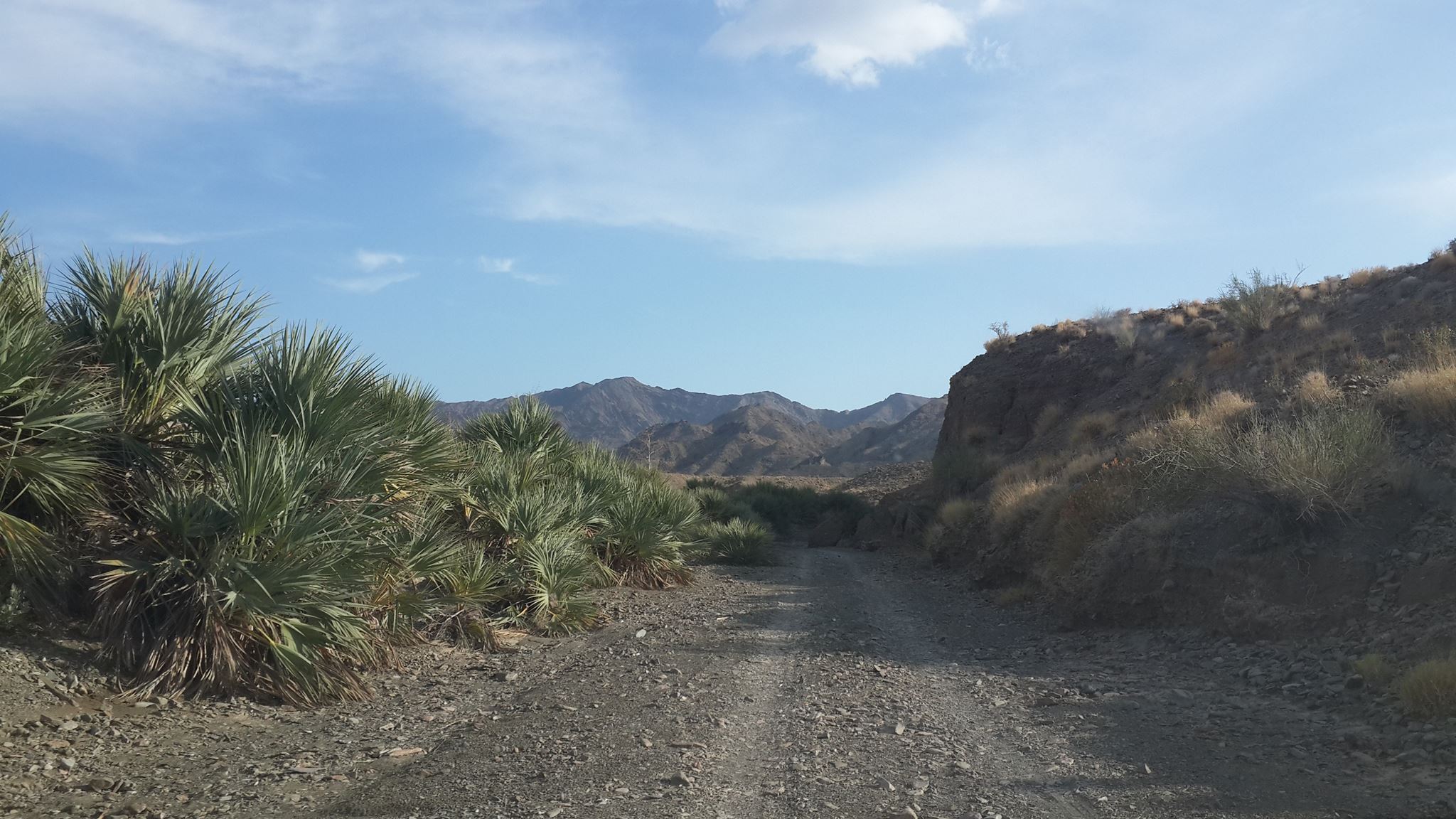 چاه میرزا روستایی با درختان جنگلی داز