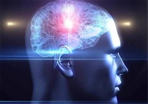 سلول‌های مغز سن افراد را نشان می‌دهند