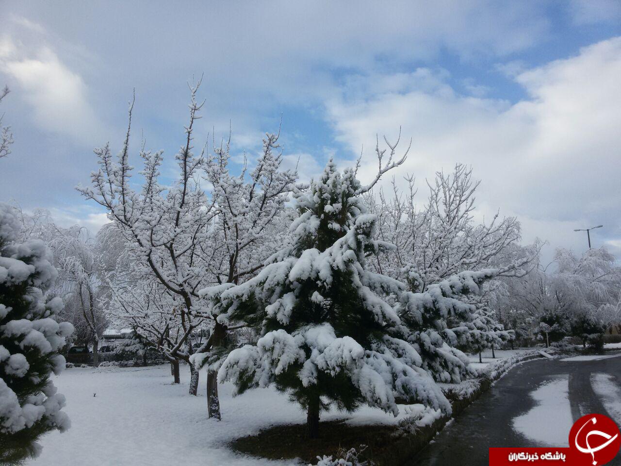 نمایی از طبیعت زمستانی گلپایگان + تصاویر