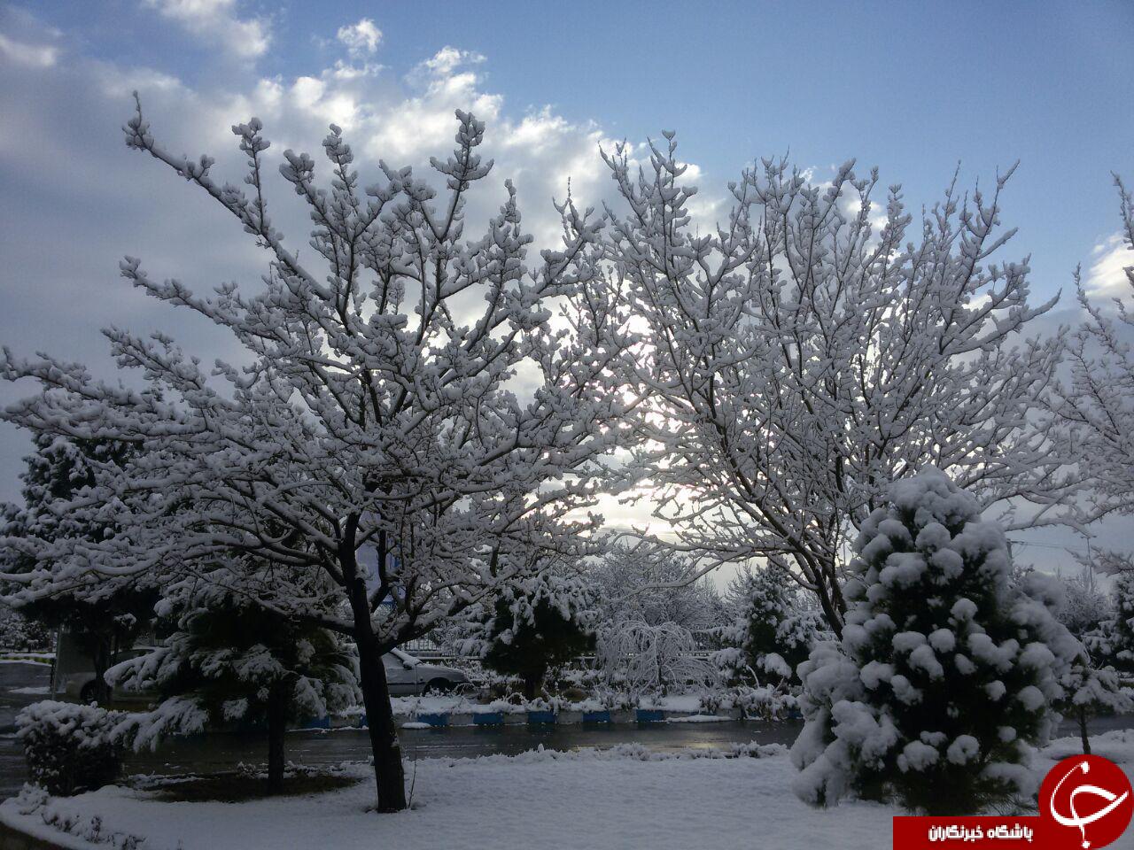 نمایی از طبیعت زمستانی گلپایگان + تصاویر