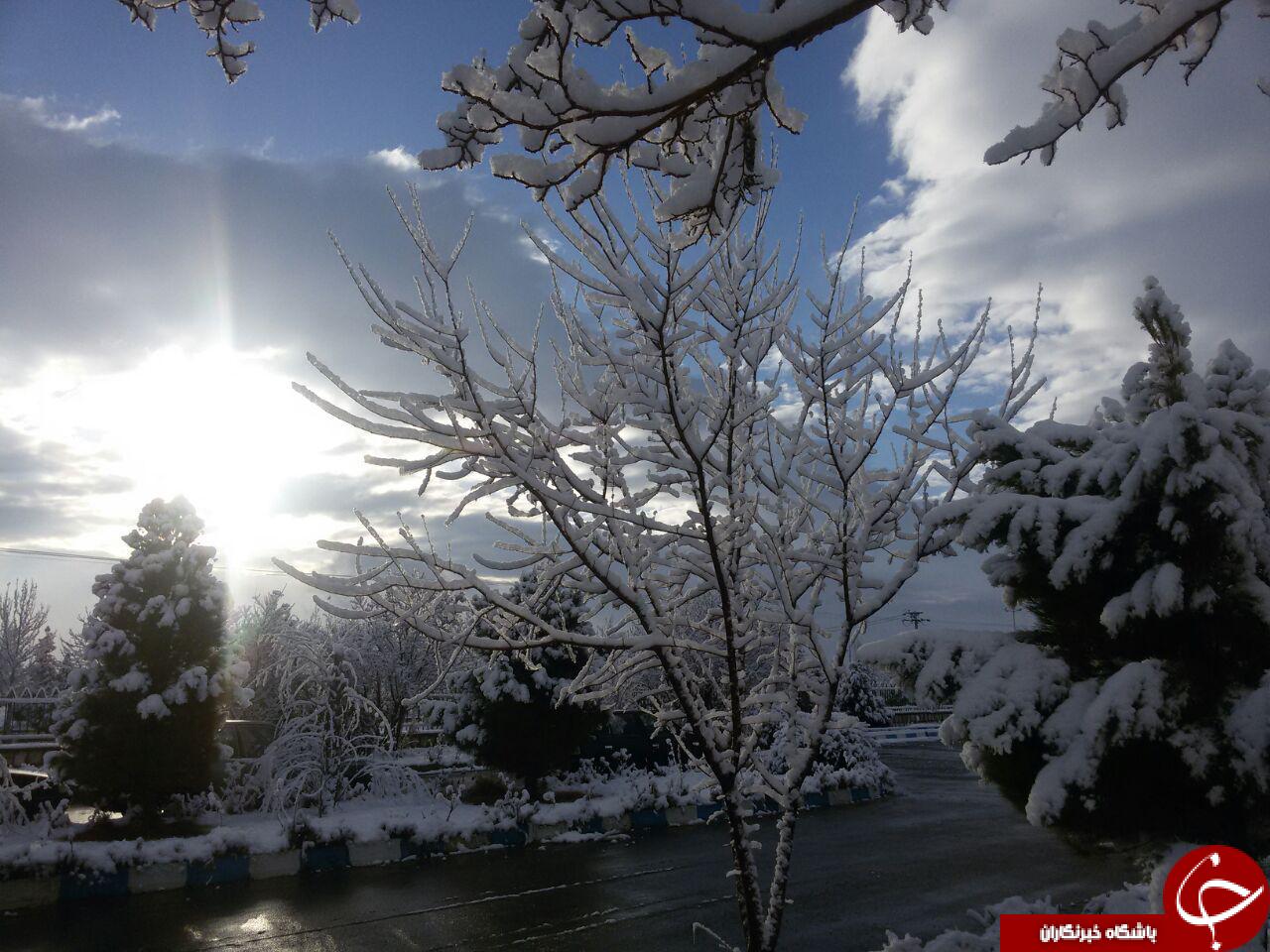 نمایی از طبیعت زمستانی گلپایگان + تصاویر