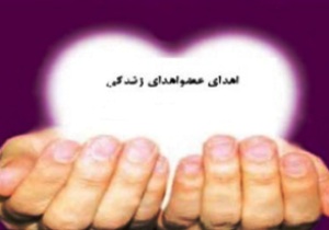 ادامه حیات در کالبد انسانی دیگر