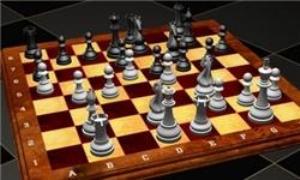 برگزاری رقابت های قهرمانی شطرنج