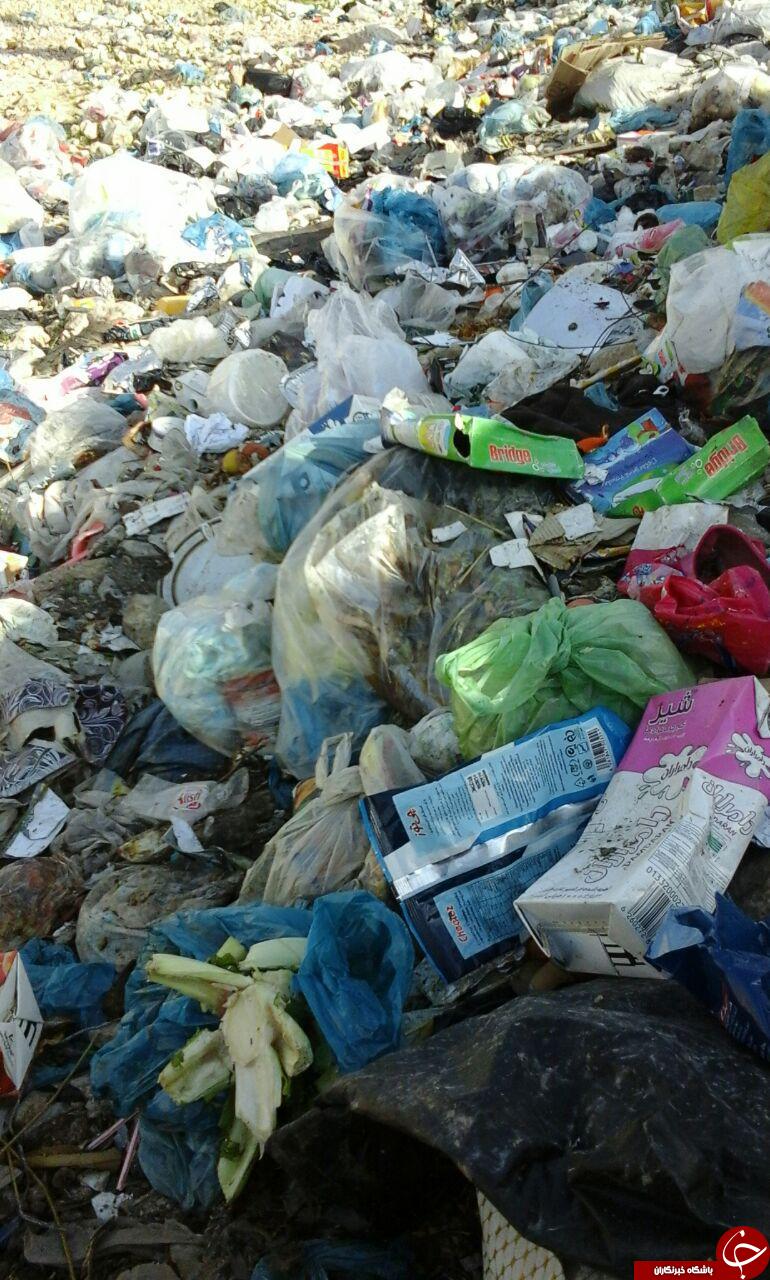 آلودگی زیست محیطی در شهرک ابوالفضل (ع) + فیلم و تصاویر