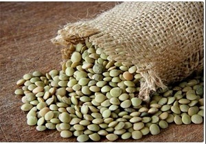 اختصاص 7 هزار  هکتار از اراضی گرمی به کشت حبوبات