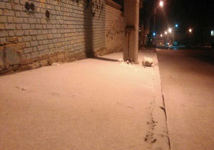 بارش شدید برف در دالاهو + فیلم
