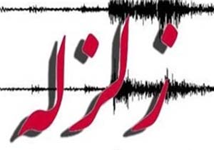 سی سخت لرزید