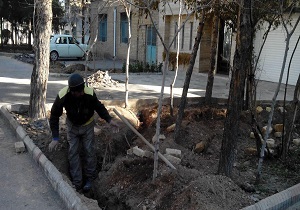 تولید و بهره برداری از 30 هزارگلدان در سمنان