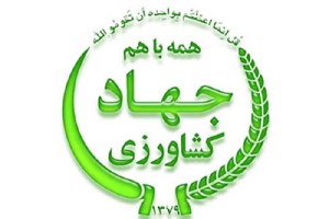 رفع مشکلات در بخش کشاورزی با تامین بودجه صندوق توسعه