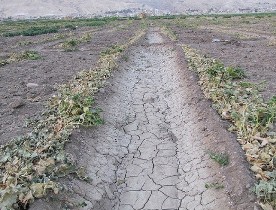 بحران کمبود آب در بهبهان