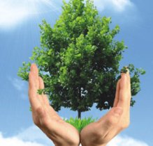 برپایی آیین روز هوای پاک در گیلان