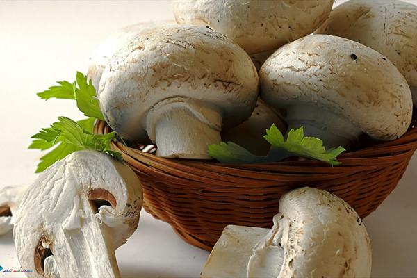 با خوردن این ماده غذایی پوکی استخوان را فراموش کنید