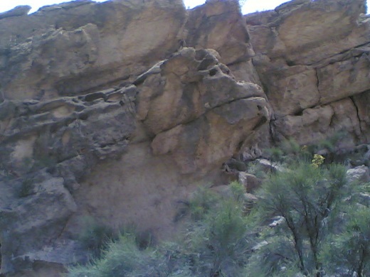 لارستان فارس؛ &laquo;مهد گل نرگس&raquo;