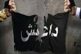 هلاکت 20 تروریست داعشی در منطقه المالحه عراق