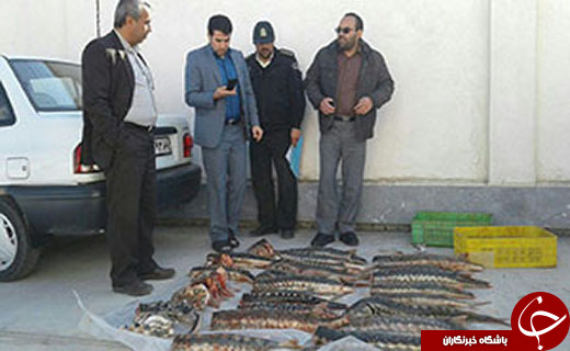 مهمترین حوادث پنج شنبه 30 دی در گلستان