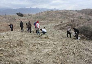 کاشت بیش از پنج هزار بذر بادام و بلوط در مهدیشهر