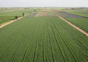 آغاز اجرای طرح کاداستر در زمین های کشاورزی شهرستان شهرکرد