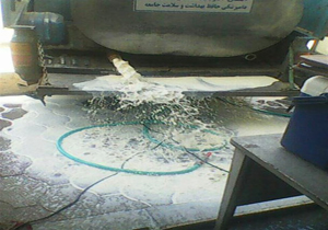 معدوم سازی 5/5 تن شیر خام در میاندوآب