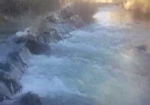 کاهش حجم آب رودخانه الوند در قصر شیرین + فیلم