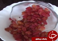 از اصلاح نژاد ماهیان تا مشکلات تاکداران+فیلم