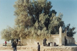 آغاز عملیات بازسازی بقعه بی‌بی دوست زابل
