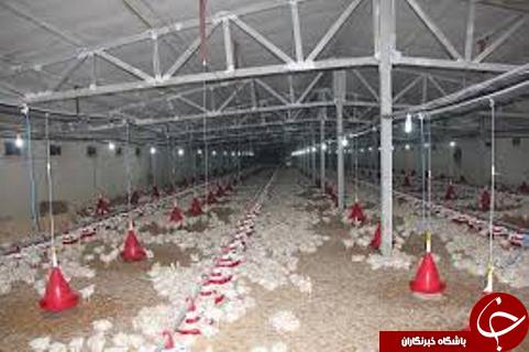 مهمترین حوادث هفته گذشته