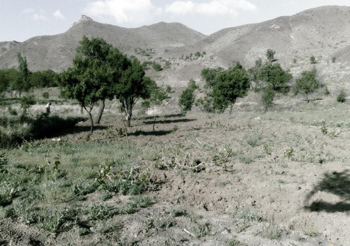 مشکل تأمین آب،چالش مهم صنایع و معادن طبس