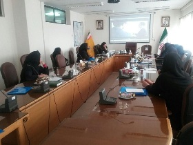 نقش زنان دراقتصاد مقاومتی