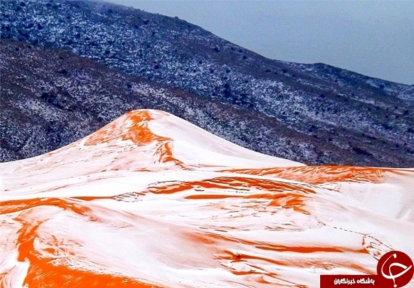 بارش برف در بزرگ&zwnj;ترین صحرای جهان بعد از 37 سال +تصاویر