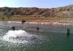 لایروبی نکردن کانال ها مشکل مزرعه پرورش میگوی تیاب