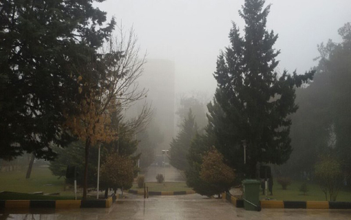 تهران در مه غلیظ فرو رفت+تصاویر
