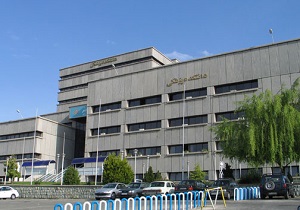 بدهی 600 میلیارد تومانی بیمه به بیمارستان‌های دولتی/ ازدحام 10 درصدی بیماران بیمارستان‌های دولتی با هتلینگ