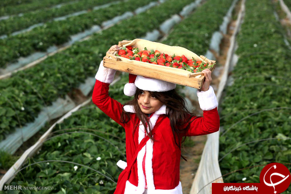 برترین تصاویر جهان در ۵ دی ۹۵
