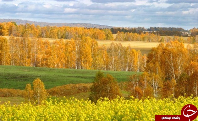 طبیعت زیبای سیبری +تصاویر
