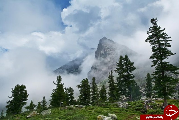 طبیعت زیبای سیبری +تصاویر