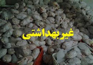 معدوم سازی 108 کیلوگرم مرغ غیر بهداشتی در نوشهر