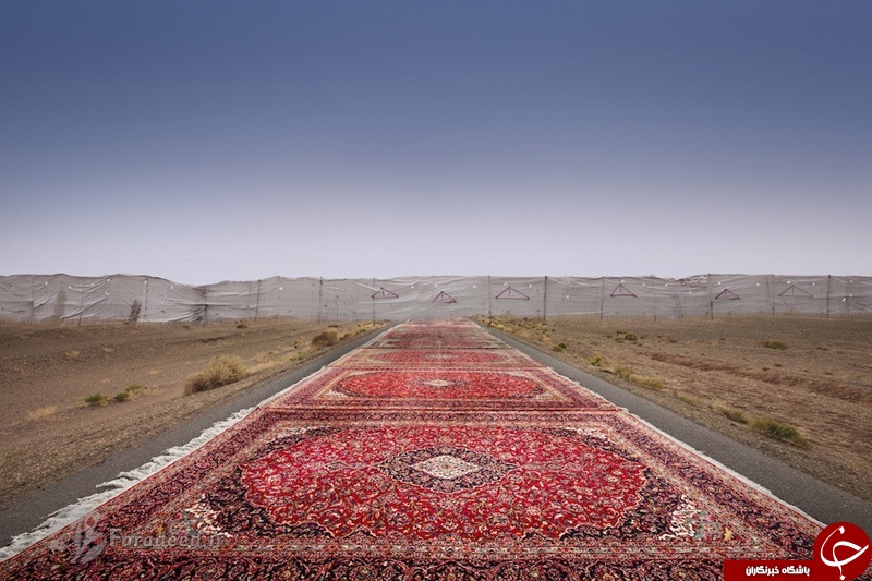 گزارش تصویری/ تجربه متفاوت عکاس ایرانی با فرش