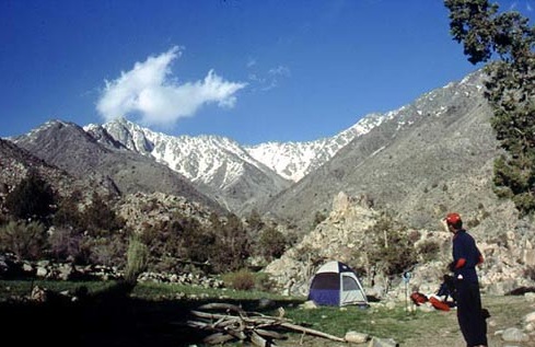 زیستگاه خرس آسیایی را ببینید زیستگاه خرس آسیایی را ببینید