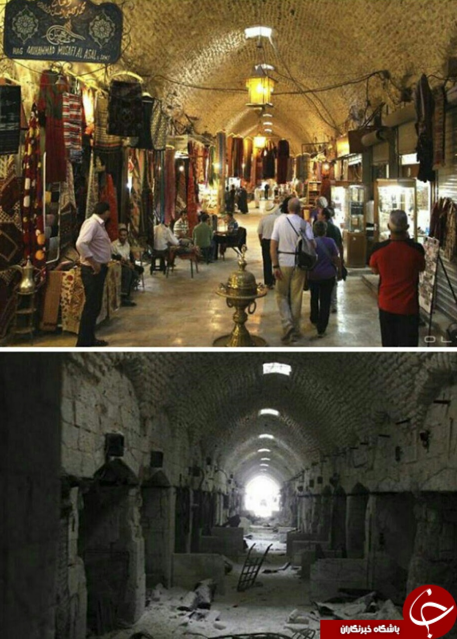 فوران یک آتش فشان سهمگین /بازار سنتی حلب/قورباغه درختی/دلفین ها یکدیگر را به اسم صدا میزنند/تصاویر لو رفته از اولین هواپیمای ایرباس/